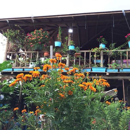 Wood House Hostel La Fortuna 外观 照片