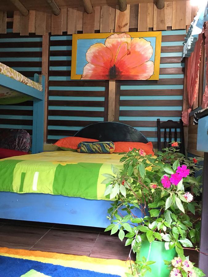 Wood House Hostel La Fortuna 外观 照片