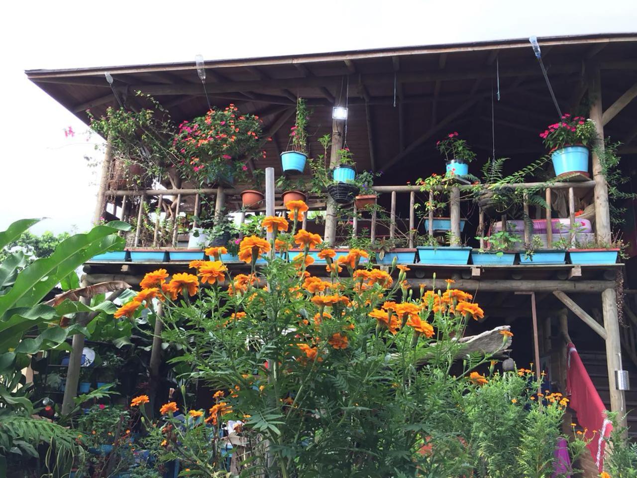 Wood House Hostel La Fortuna 外观 照片