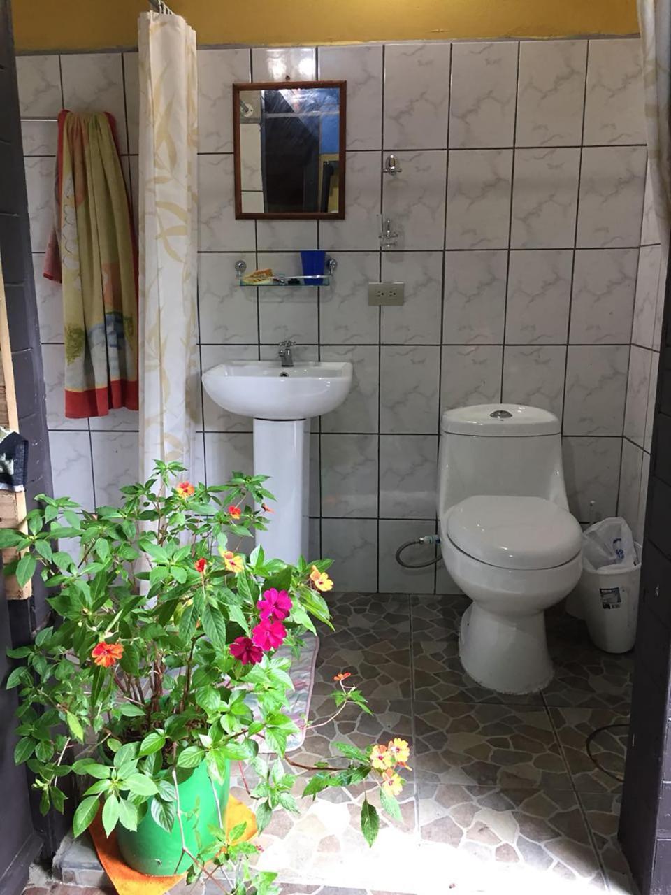 Wood House Hostel La Fortuna 外观 照片