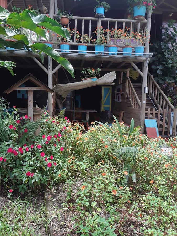 Wood House Hostel La Fortuna 外观 照片