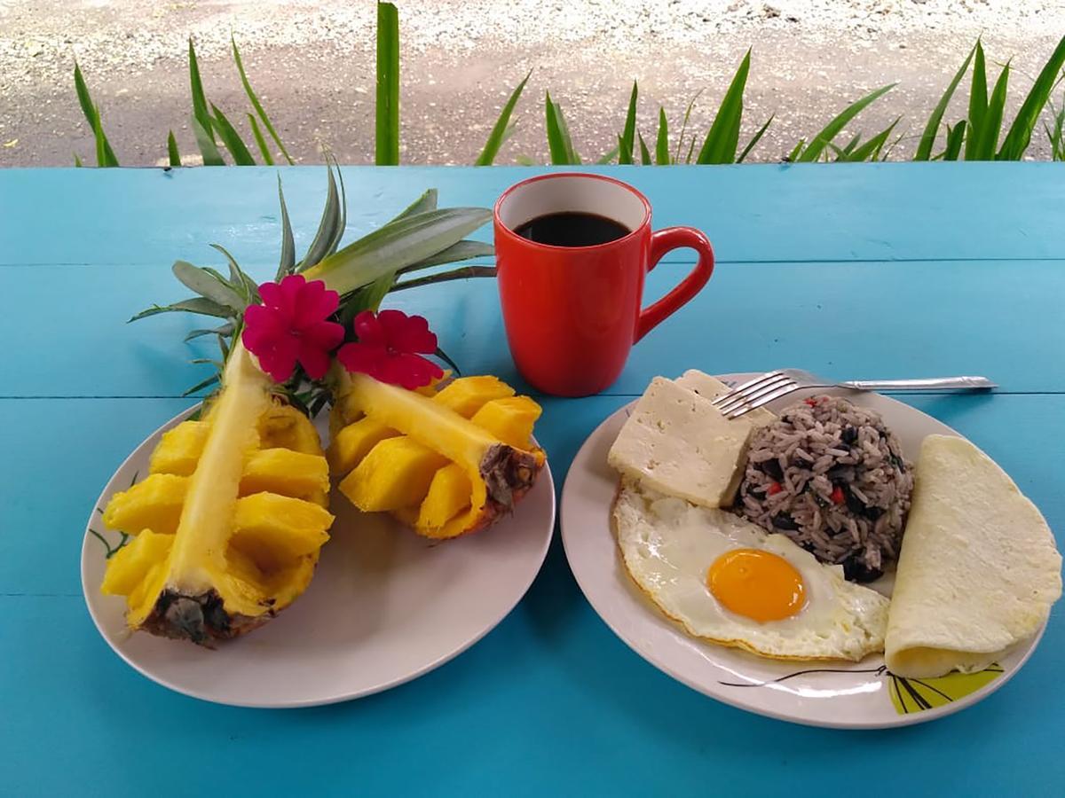 Wood House Hostel La Fortuna 外观 照片